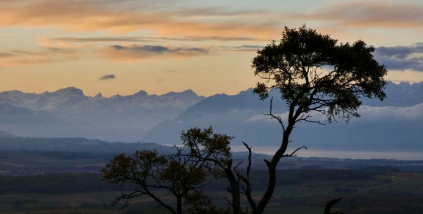 Übernachtungstipp im Waadtländer Jura: La Ferme de la Praz