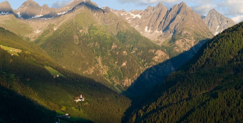 Kraftquelle Natur – Ein Spaziergang im Tiroler Wald