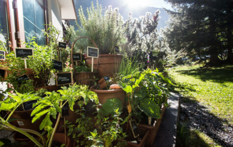 ronjas-kraeutergarten