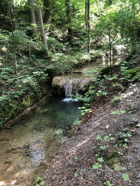 Kleiner Bach mit Wasserfall in Zürcher Wald.