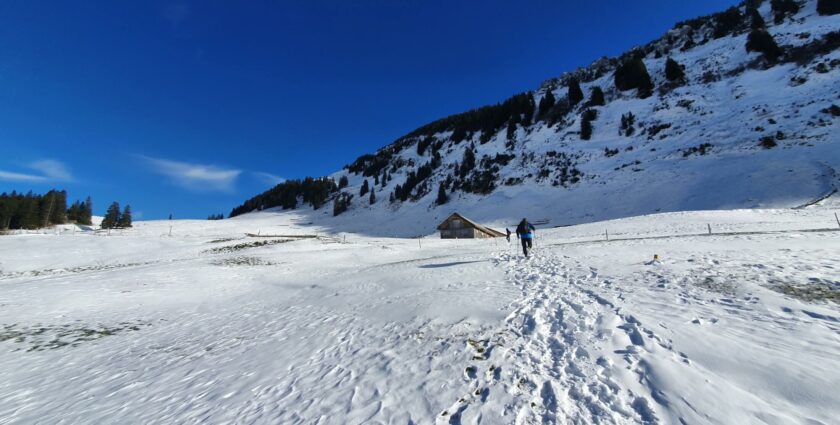 Winterwandern mit Aussicht im Toggenburg