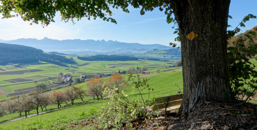 Emmental – Schönste «Berner Platte» direkt vor der Haustüre