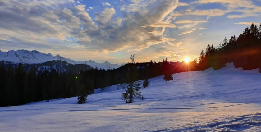 Naturschutzgebiet Ibergeregg: Schneeschuh-Genuss für Einsteiger mit Ausdauer