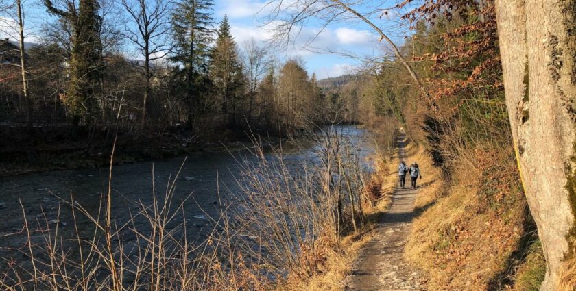Winter-Spaziergang im Sihlwald