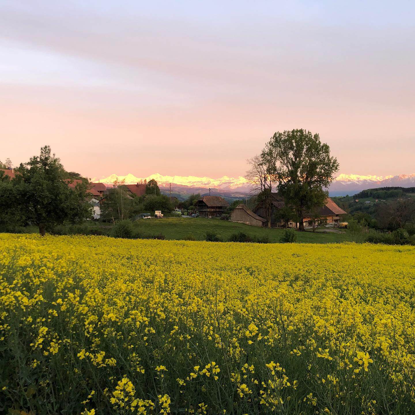 Spectacular view - open terrace - nice hosts - fine food - and just 15 minutes outside of Bern. #ferenberg #bantiger #bern #ilove_bern #panorama #switzerland