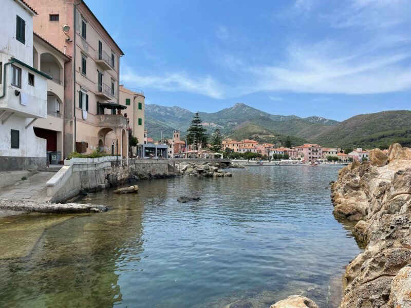 Umami Elba