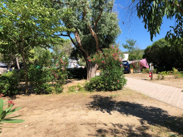 Campingplatz umgeben von grünen Bäumen und Büschen auf Elba.
