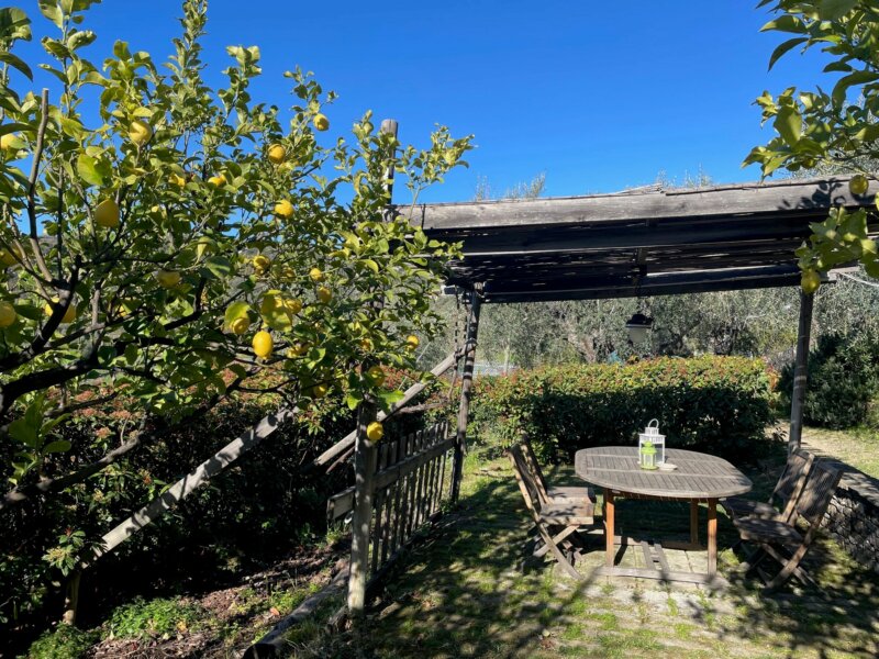 Lauschiger Terrassenplatz im Uliveto Saglietto mit Gartentisch und Zitronenbaum in Ligurien.