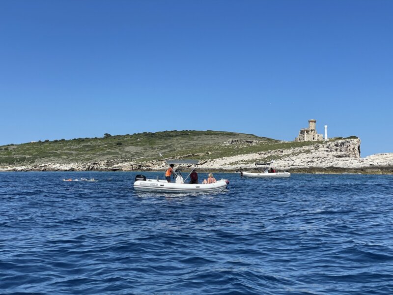 Boote begleiten Schwimmer beim Schwimmen.