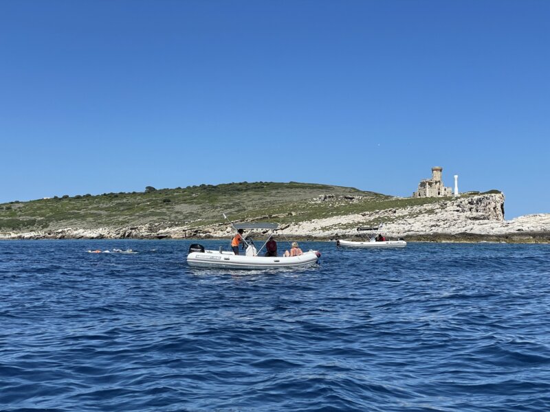 Boote begleiten Schwimmer beim Schwimmen.