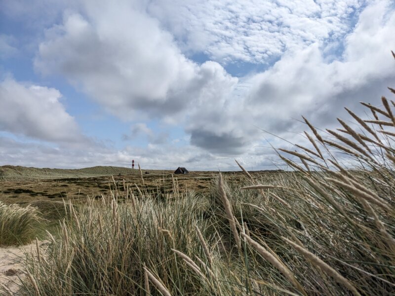 Dünenlandschaft