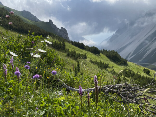 Morgenstimmung beim Hahntennjoch