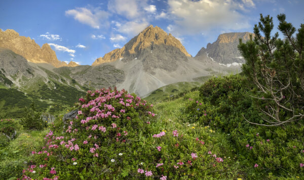 Bei der Hanauer Hütte mit Dremelspitze