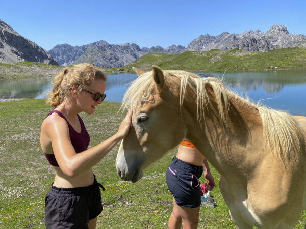 Haflingerpferde beim Steinsee