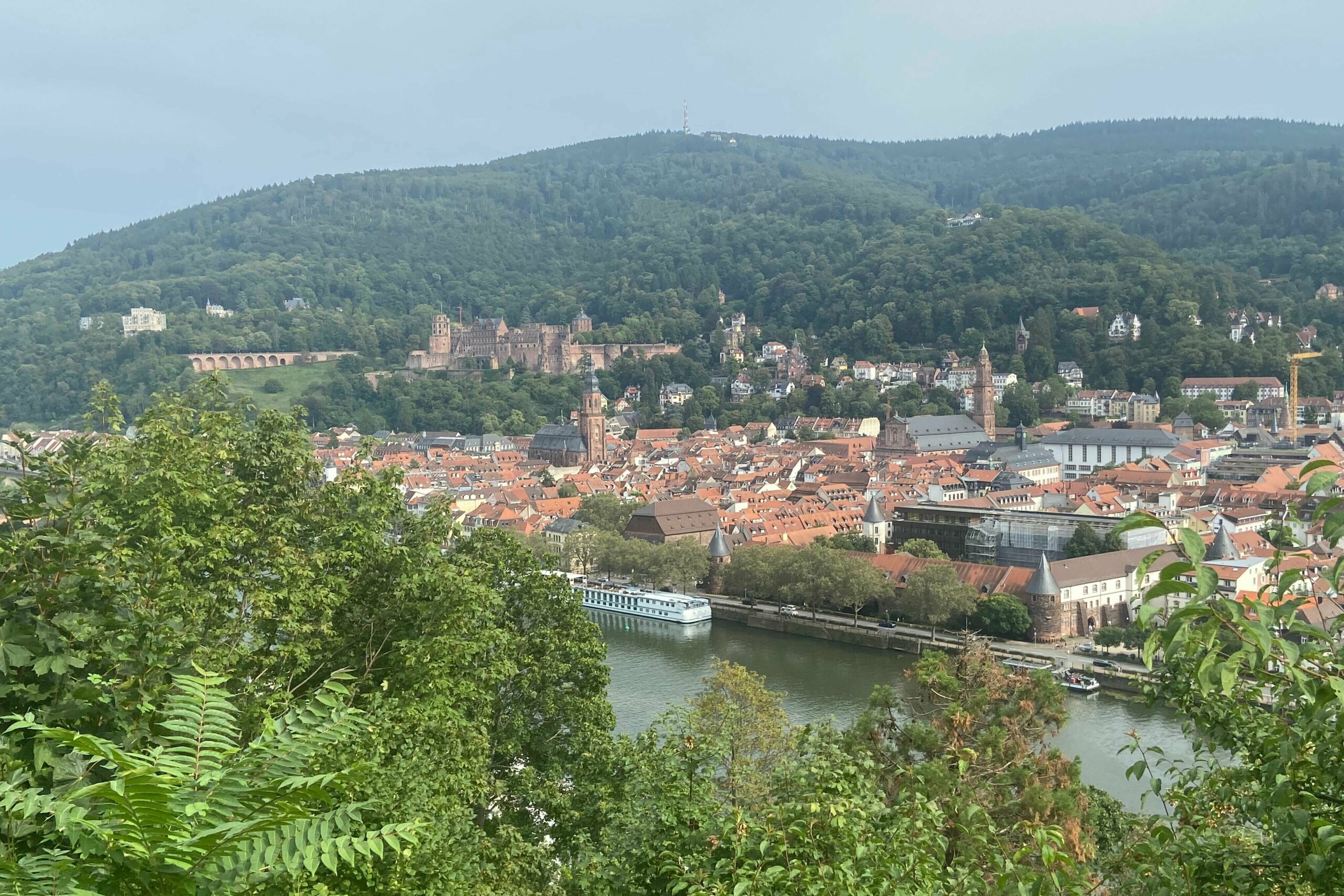 Blick vom Philosophenweg auf Heidelberg mit Schloss.