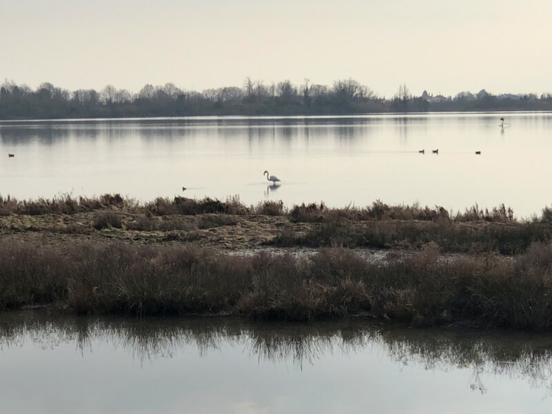 Tipp: Die Lagunenlandschaft von Grado lässt sich auch im Rahmen einer naturkundlichen Begegnung erleben. 