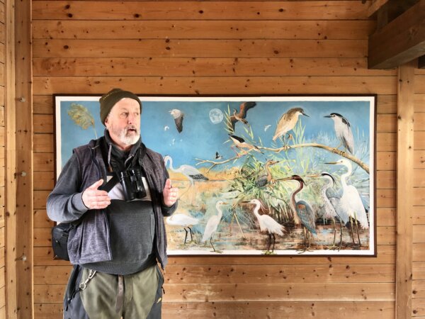 Vogelkunde mit Biologe Paul Tout in der Lagunenlandschaft von Grado (c) Elena Paschinger www.CreativElena.com