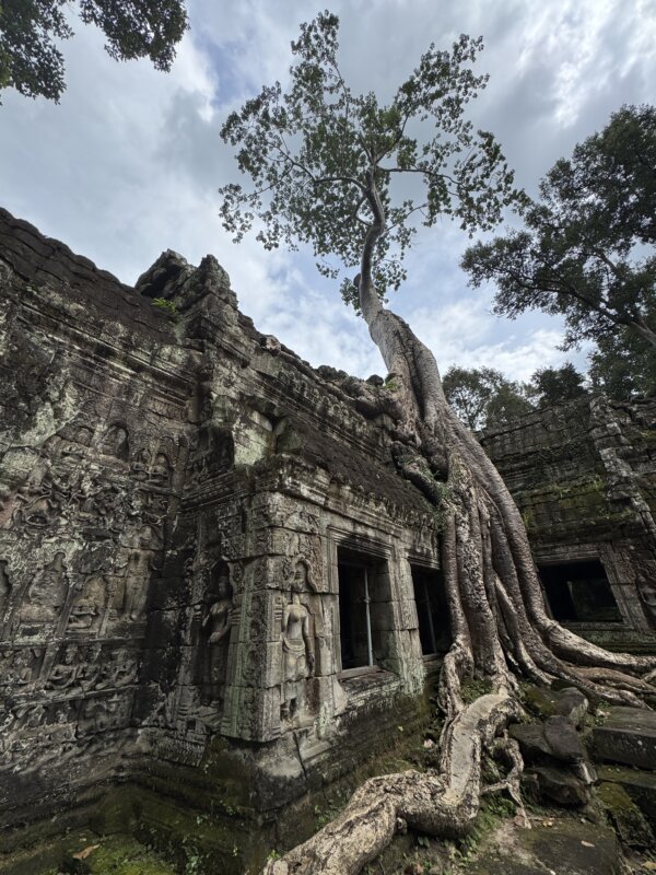 Die faszinierenden Tempelanlagen von Angkor. Foto: Thurgau Travel