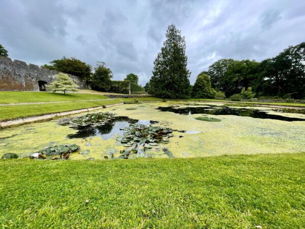 Grüner geht nicht – der prachtvolle Park von Aberglasney.