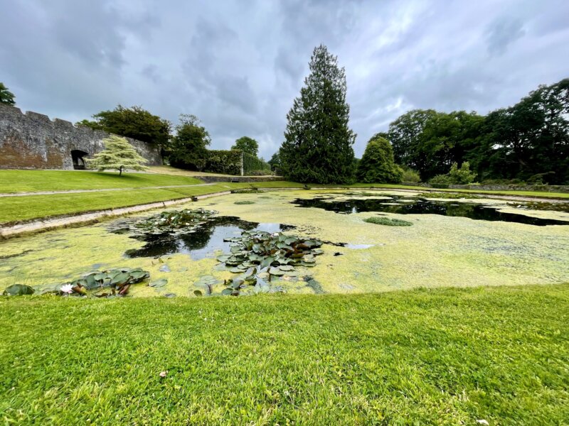 Grüner geht nicht – der prachtvolle Park von Aberglasney.