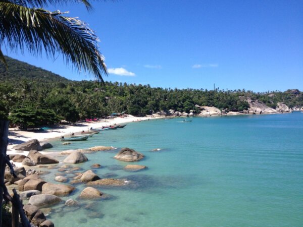 Strand mit Palme in Koh Phangan