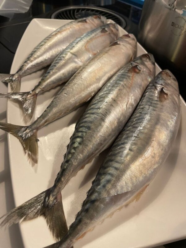 Fisch Elba Kitchen Club