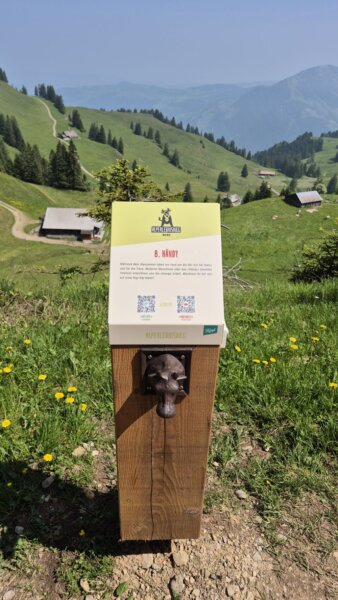 Rigi Alpenerlebnisweg