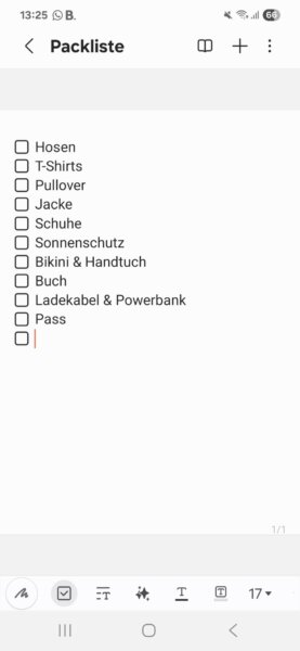 Packliste am Handy