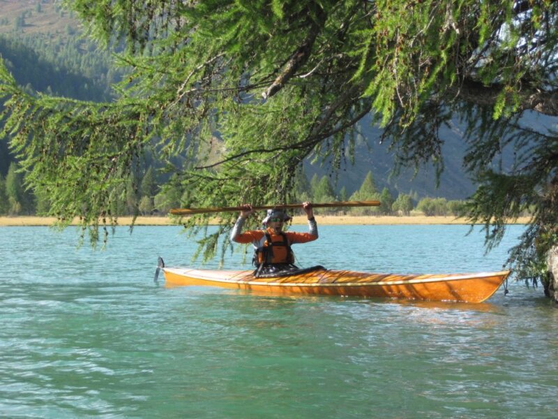 Seekajek in der Natur