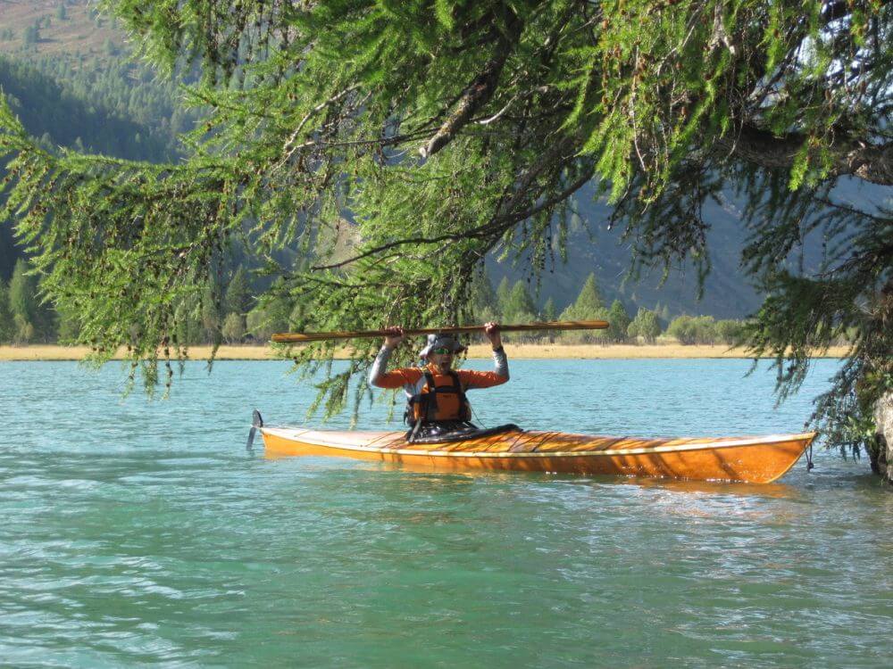 Seekajek in der Natur