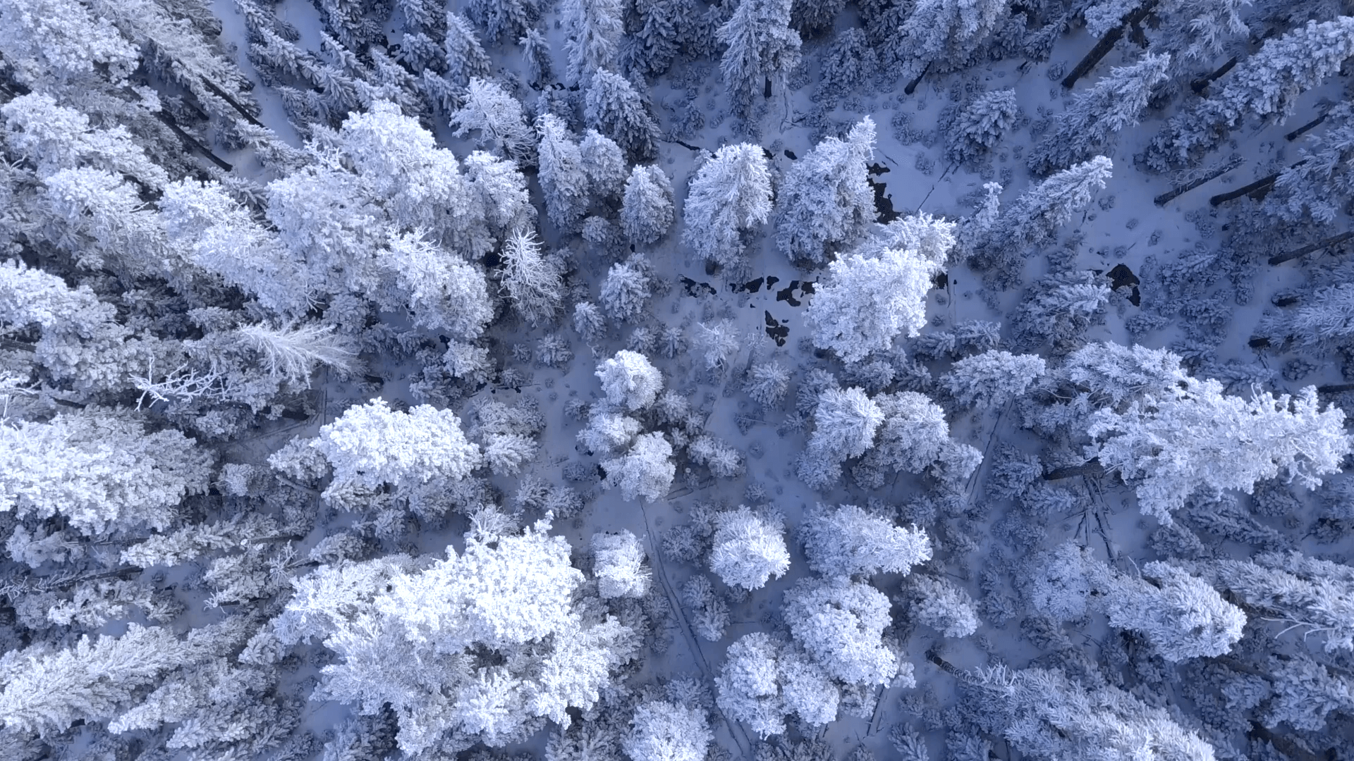 Headervideo_Travelistas_Backgroundfallback