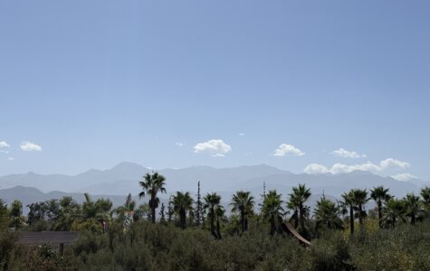 Meine drei Lieblingsausflüge rund um Marrakesch das Atlasgebirge mit der grünen Oase des Jardin Anima im Vordergrund