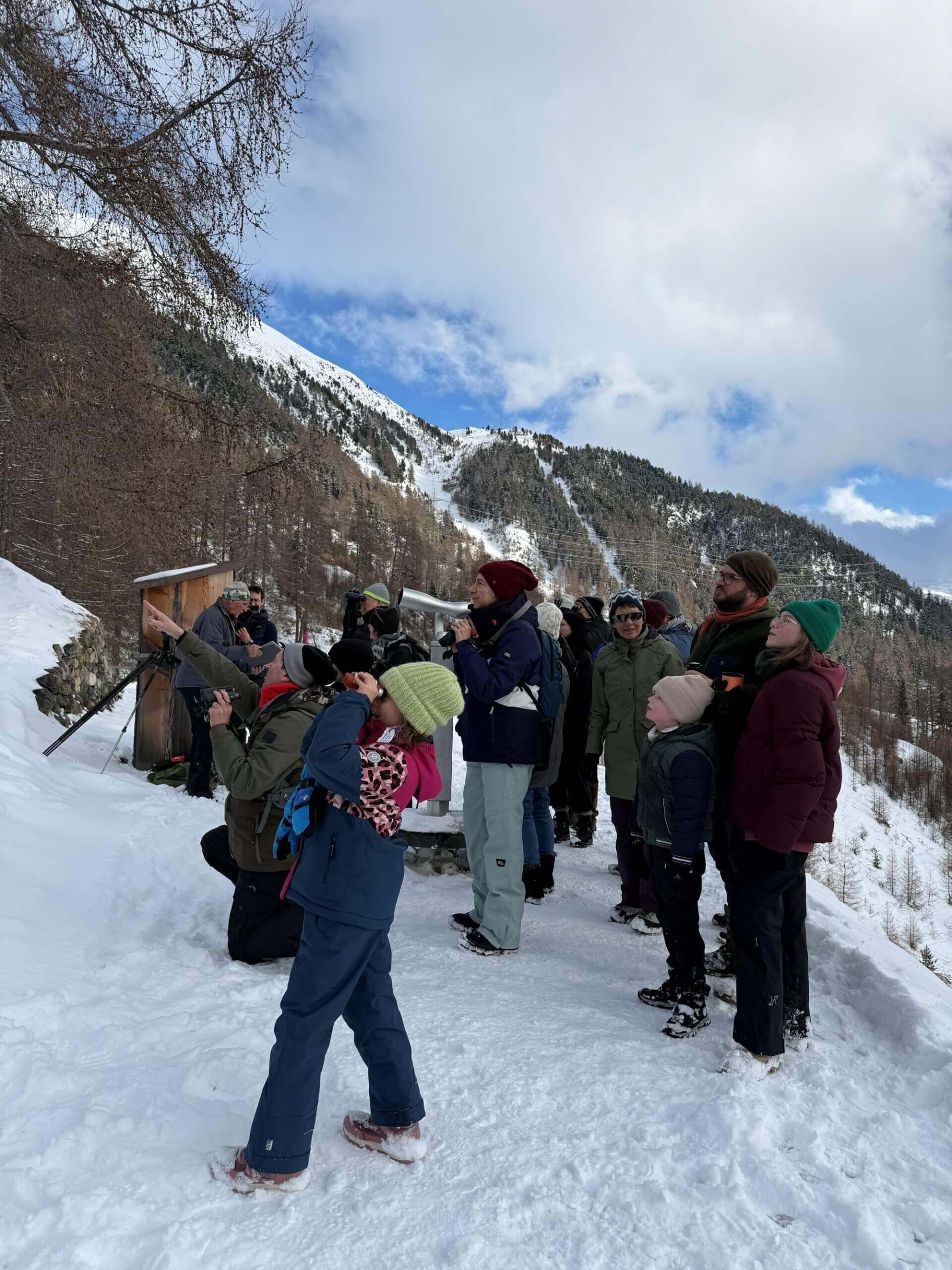Gruppe bei einer Steinbocksafari in Pontresina
