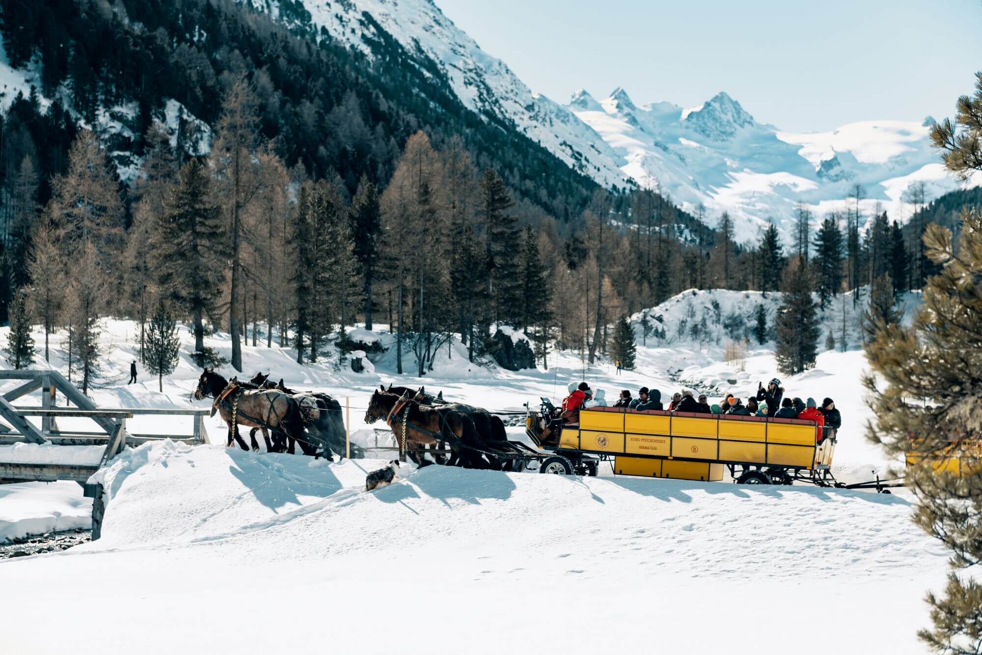 Mit der Kutsche geht’s gemütlich durch die verschneite Landschaft. © Pontresina Toursimus/ESTM