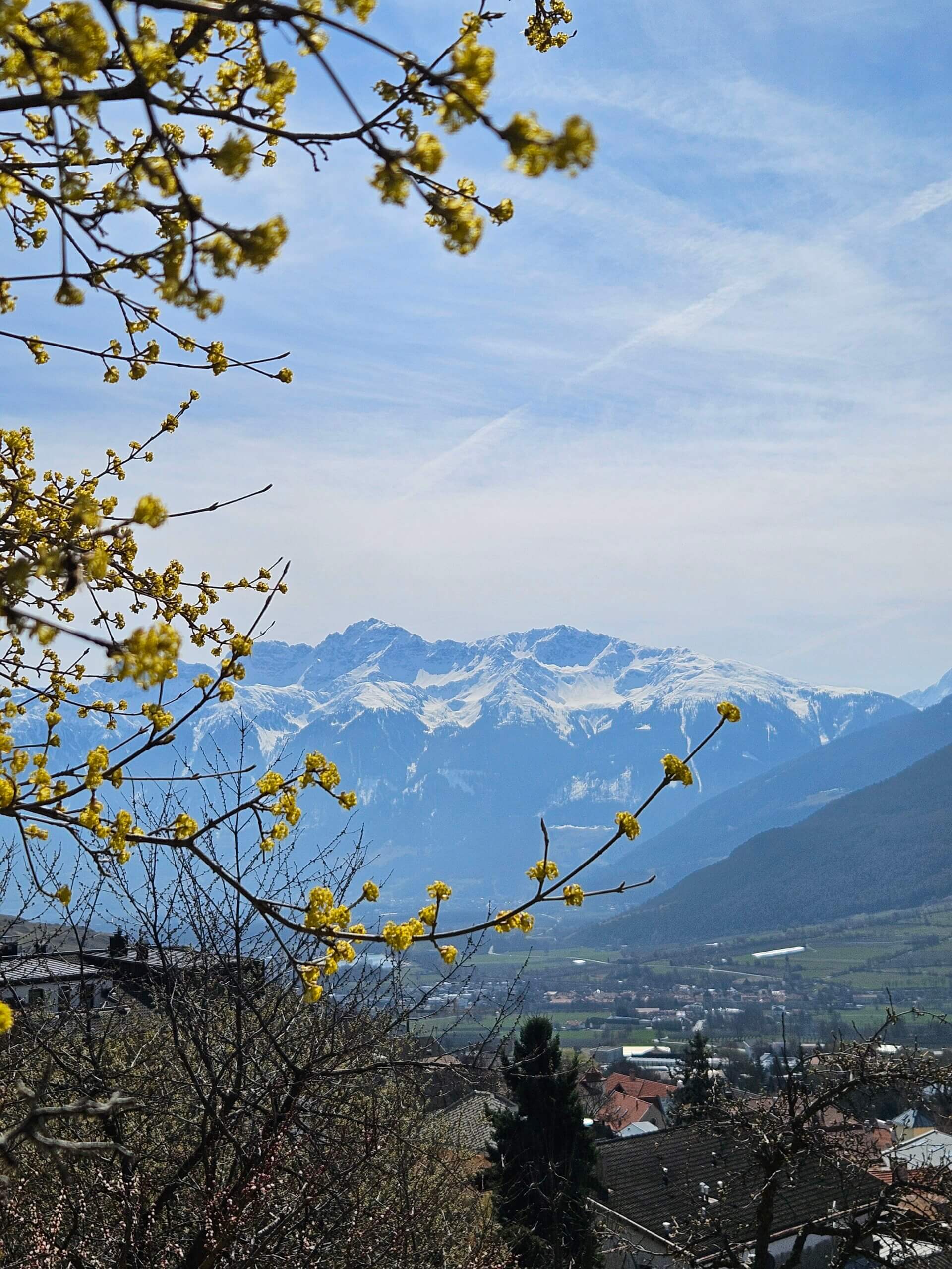 Travelistas_Auramonte_Waalweg