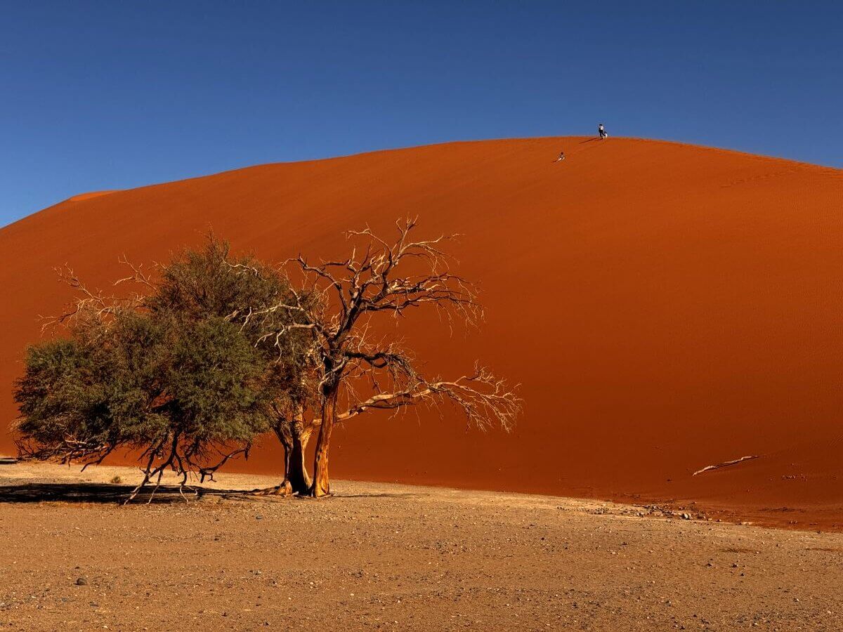 Düne im Sossusvlei im Namib Naukluft Nationalpark in Namibia