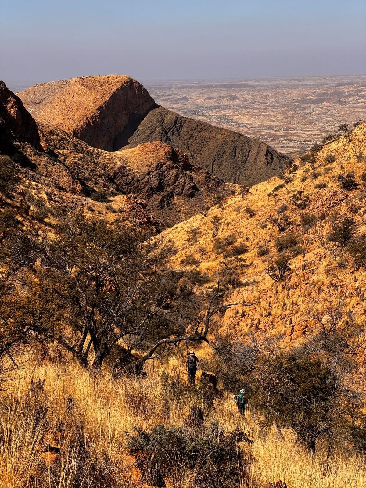 Naukluft Mountain Zebra Park Namibia