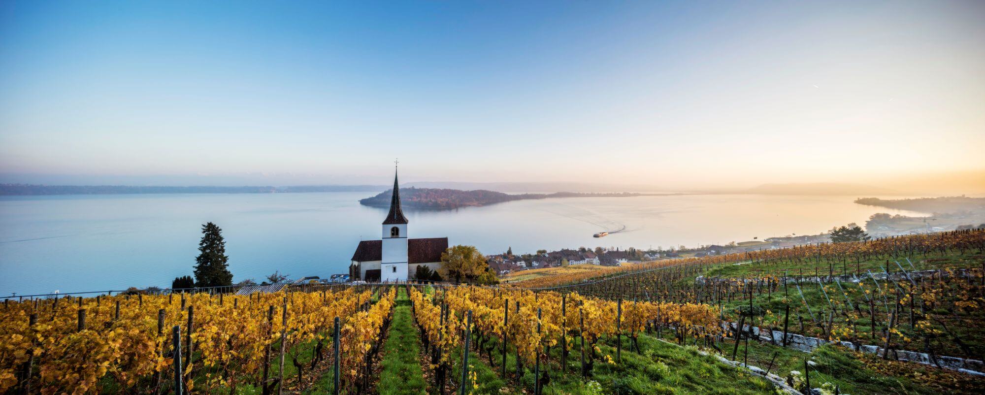 Blick auf Weinberge und den Bielersee