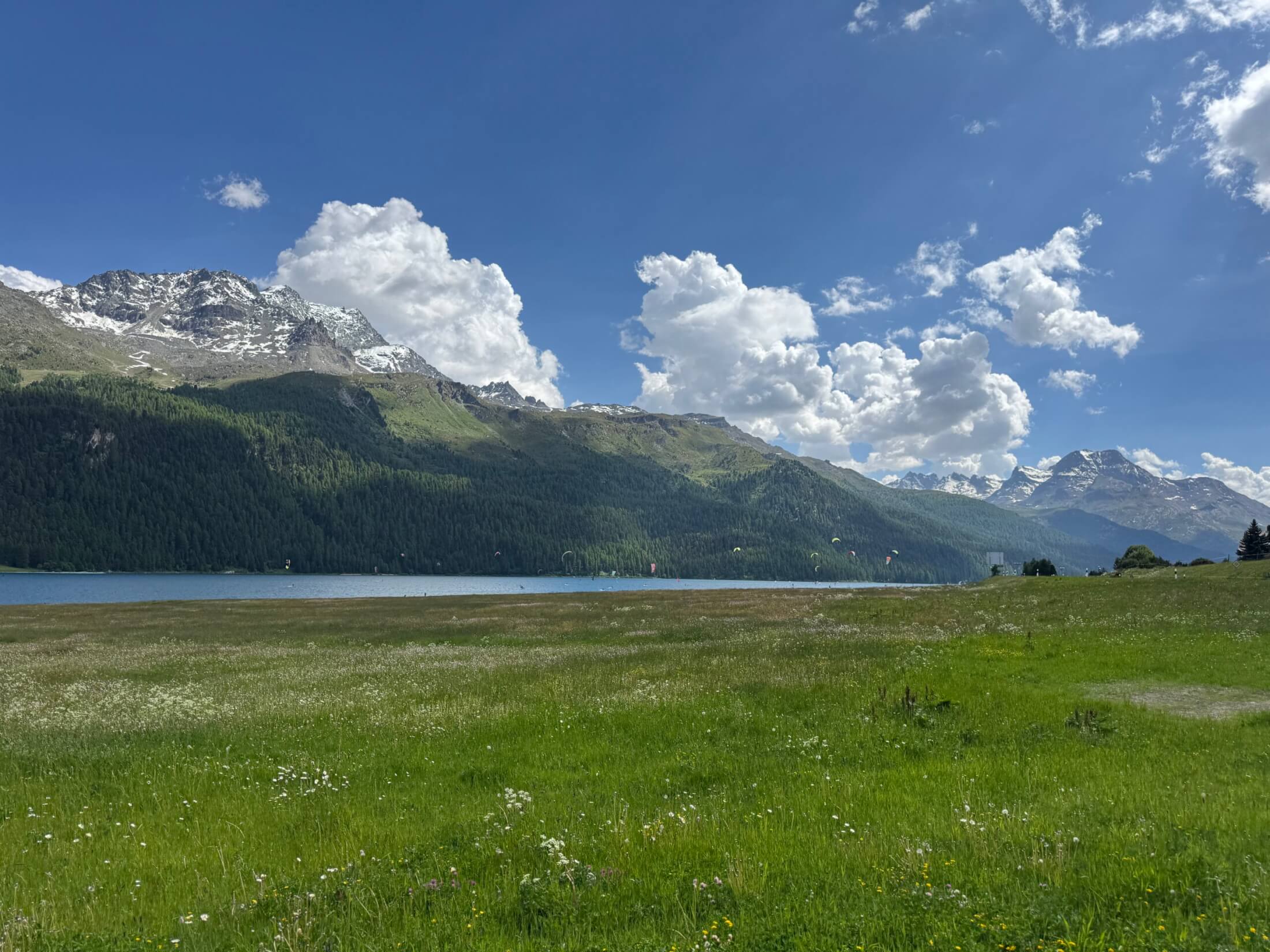 Travelistas_Silvaplanersee_Surfen