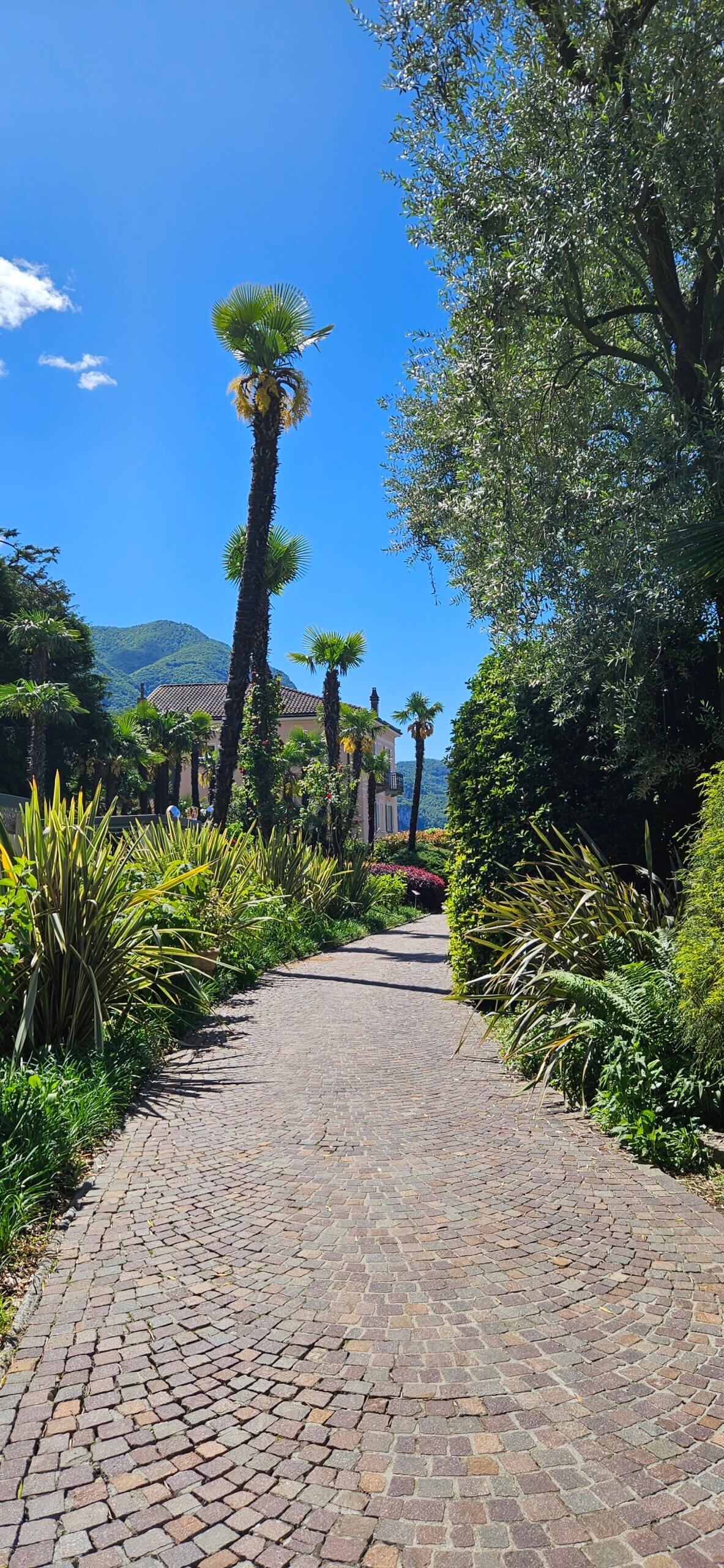 Park in der Villa Castagnola