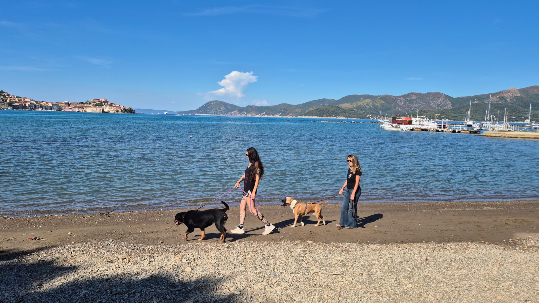 Zwei jungen Frauen gehen mit zwei Hunden an der Leine am Strand von Portoferraio, Elba, spazieren.