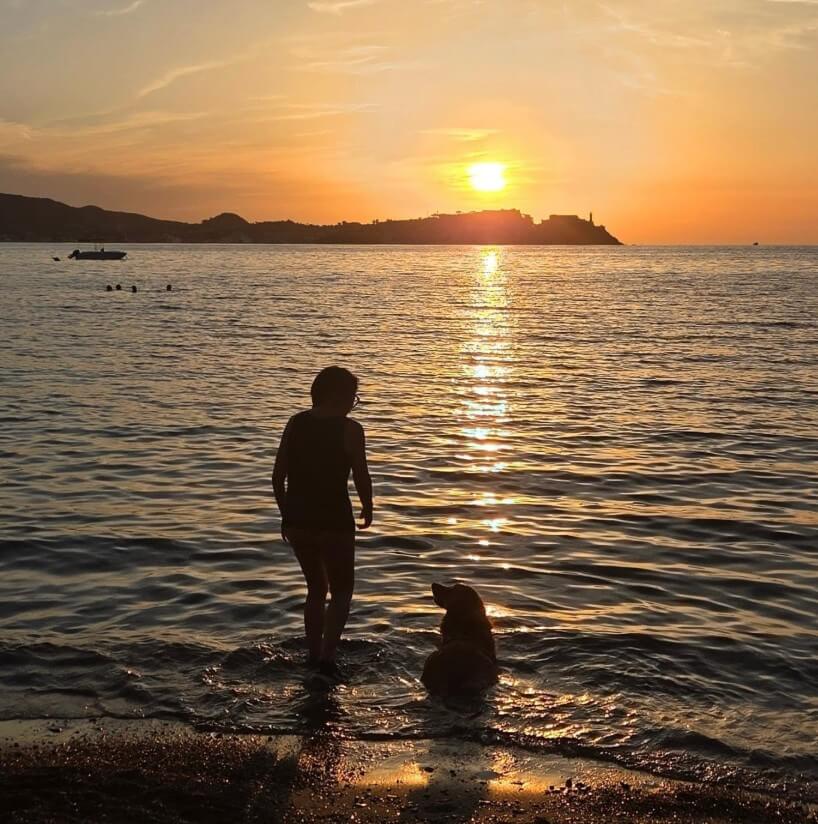 Frau und Hund stehen am Strand im Meer , dahinter geht die Sonne unter