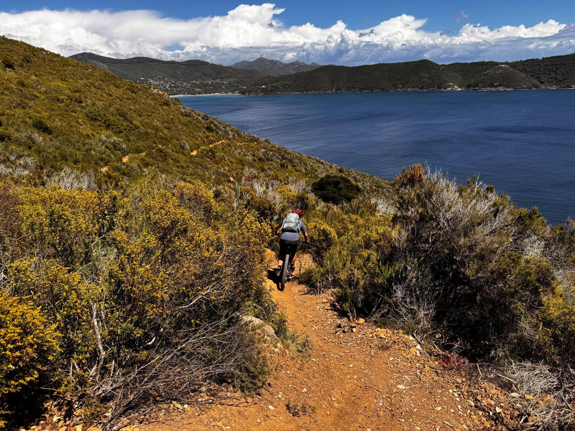 Mountainbiker auf Elba fährt auf rotem Weg durch Gestrüpp, im Hintergrund blaues Meer