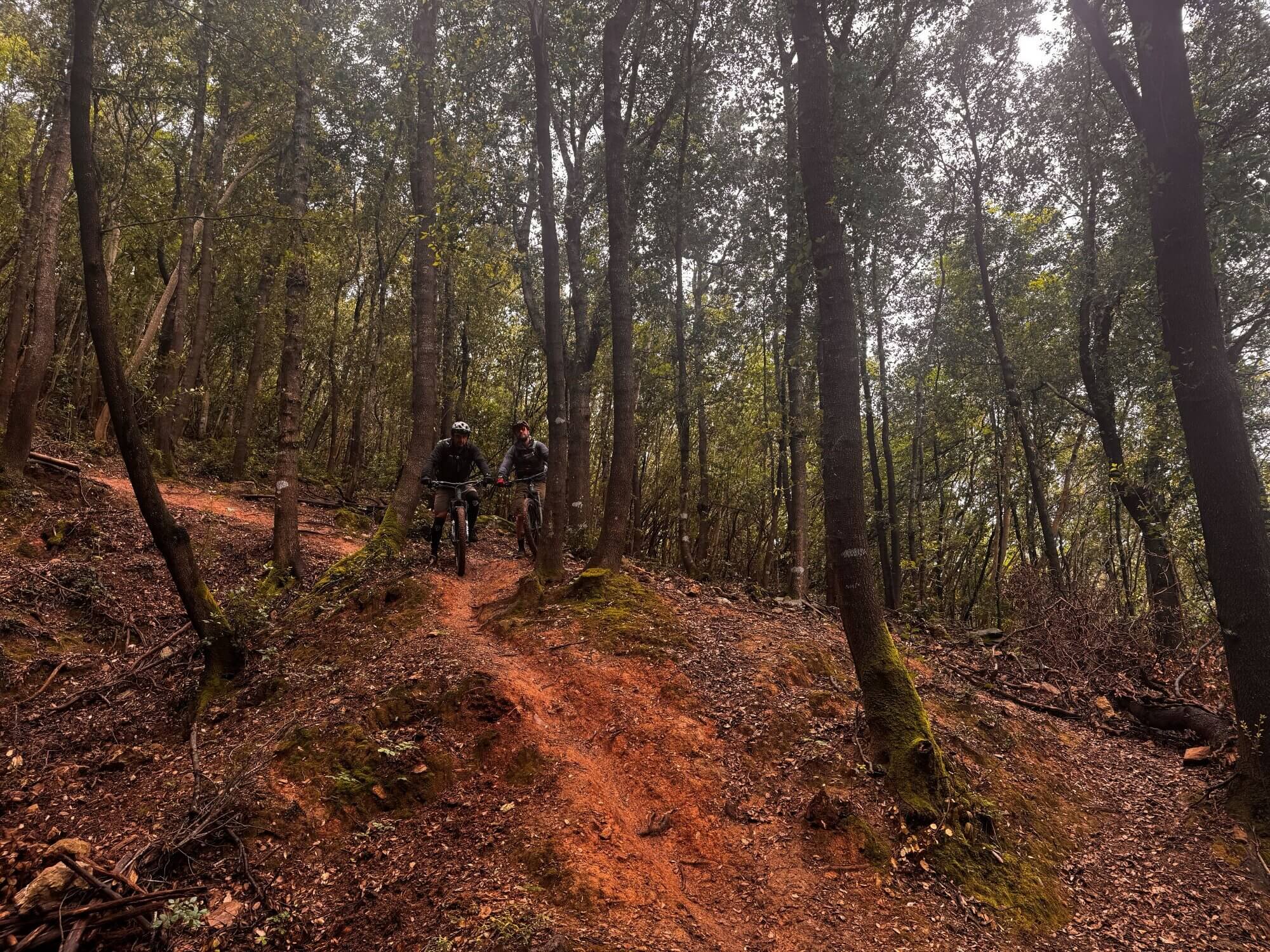 Zwei Mountainbiker auf Elba fahren durch einen Wald, der Boden ist rot