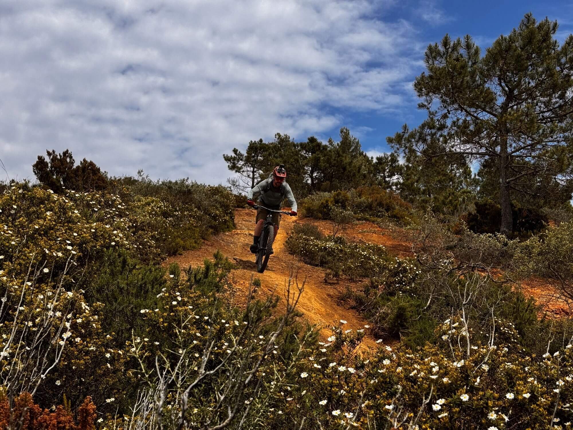 Mountainbiker auf Elba fährt auf roter Erde auf einem Weg durch grünes Gestrüpp