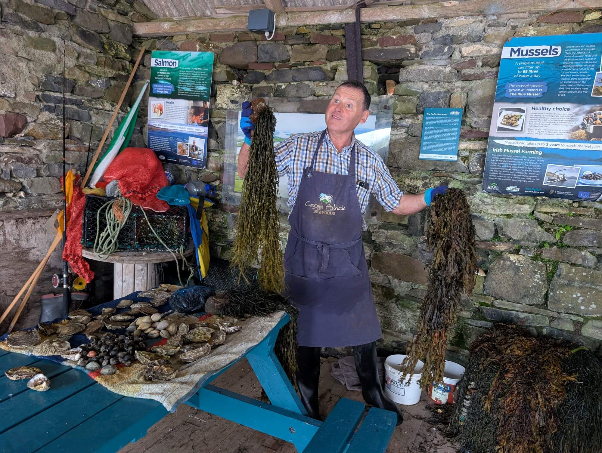 Austern- und Muschelfarmer Padraic Gannon hält Seegras in die Luft, auf einem Tisch liegen verschiedene Muscheln.