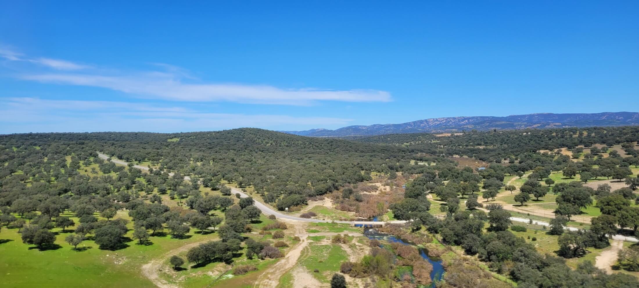 grüne Wälder und Wiesen im Hinterland von Cordoba