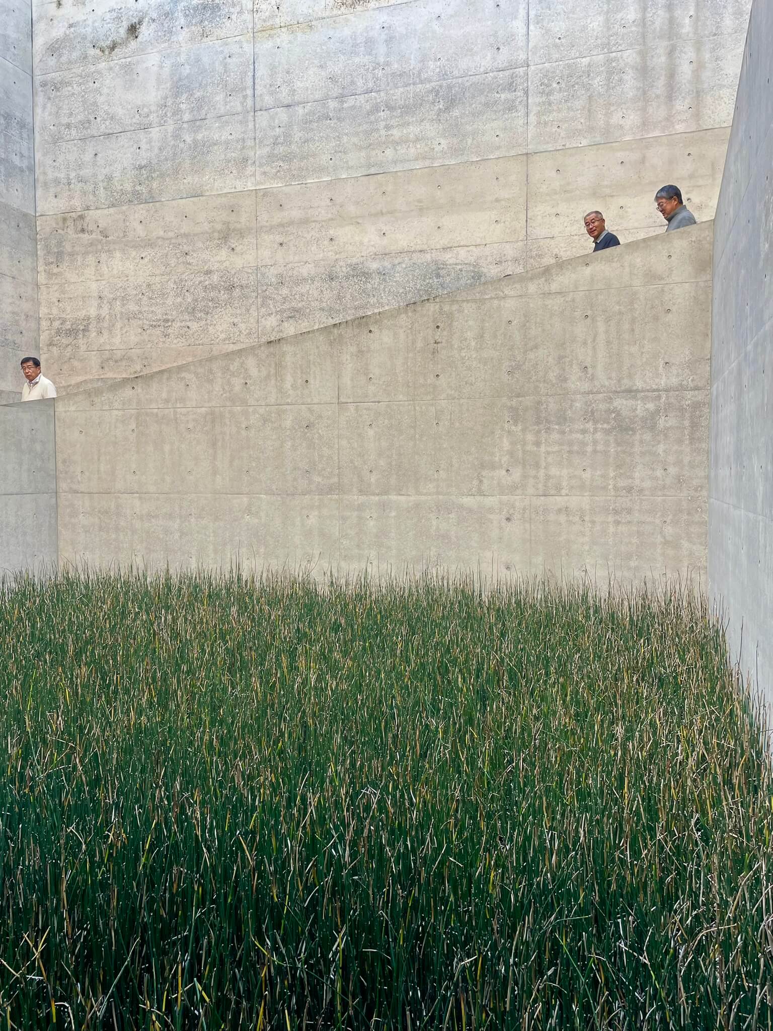 Chichu Art Museum: graue Betonwand und grüne Wiese