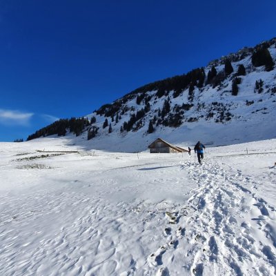 Toggenburg
