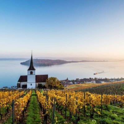 Blick auf Weinberge und den Bielersee